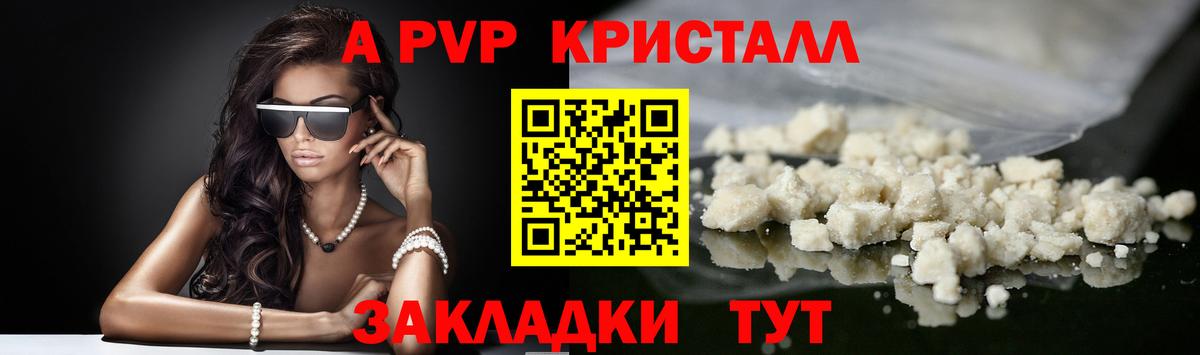 A-PVP СК КРИС  Альфа ПВП СК КРИС  Кызыл  Alfa_PVP СК  A-PVP  Вход с VPN 