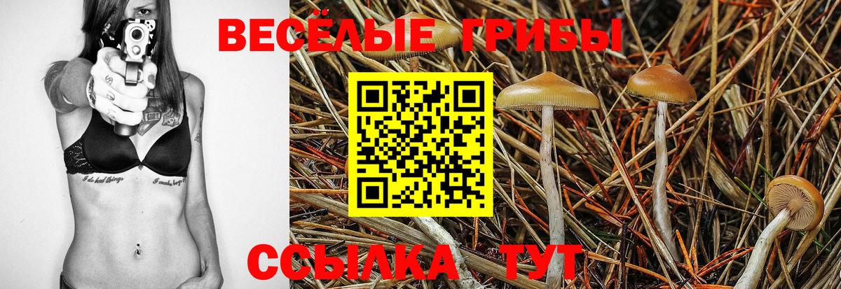 купить закладку  Вход с VPN  Кызыл  Галлюциногенные грибы Magic Shrooms 